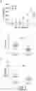 Fig. 08 - Modulation of molecular markers using S-equol