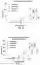Fig. 09 - Modulation of molecular markers using S-equol
