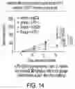 Fig. 17 - Modulation of molecular markers using S-equol