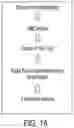 Fig. 20 - Modulation of molecular markers using S-equol