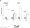 Fig. 41 - Modulation of molecular markers using S-equol