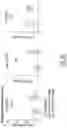 Fig. 46 - Modulation of molecular markers using S-equol