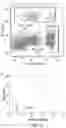 Fig. 47 - Modulation of molecular markers using S-equol