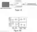 Fig. 19 - COMPOSITIONS AND METHODS FOR CANCER THERAPY