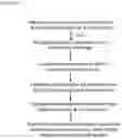 Fig. 31 - COMPOSITIONS AND METHODS FOR CANCER THERAPY