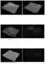 Fig. 12 - MICROORGANISM MIXTURES, MOLECULES DERIVED THEREFROM, AND METHODS OF USE THEREOF