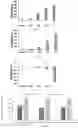 Fig. 17 - MICROORGANISM MIXTURES, MOLECULES DERIVED THEREFROM, AND METHODS OF USE THEREOF