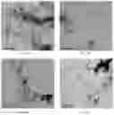 Fig. 27 - MICROORGANISM MIXTURES, MOLECULES DERIVED THEREFROM, AND METHODS OF USE THEREOF