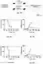 Fig. 29 - MICROORGANISM MIXTURES, MOLECULES DERIVED THEREFROM, AND METHODS OF USE THEREOF
