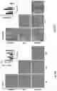 Fig. 32 - MICROORGANISM MIXTURES, MOLECULES DERIVED THEREFROM, AND METHODS OF USE THEREOF