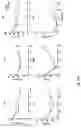 Fig. 33 - MICROORGANISM MIXTURES, MOLECULES DERIVED THEREFROM, AND METHODS OF USE THEREOF