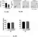 Fig. 36 - MICROORGANISM MIXTURES, MOLECULES DERIVED THEREFROM, AND METHODS OF USE THEREOF