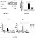 Fig. 38 - MICROORGANISM MIXTURES, MOLECULES DERIVED THEREFROM, AND METHODS OF USE THEREOF