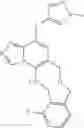 Fig. 120 - Macrocyclic azolopyridine derivatives as EED and PRC2 modulators