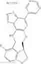 Fig. 202 - Macrocyclic azolopyridine derivatives as EED and PRC2 modulators