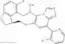 Fig. 204 - Macrocyclic azolopyridine derivatives as EED and PRC2 modulators