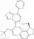Fig. 206 - Macrocyclic azolopyridine derivatives as EED and PRC2 modulators