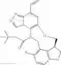 Fig. 209 - Macrocyclic azolopyridine derivatives as EED and PRC2 modulators