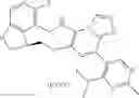 Fig. 246 - Macrocyclic azolopyridine derivatives as EED and PRC2 modulators
