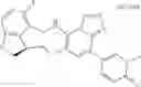 Fig. 251 - Macrocyclic azolopyridine derivatives as EED and PRC2 modulators