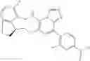 Fig. 267 - Macrocyclic azolopyridine derivatives as EED and PRC2 modulators