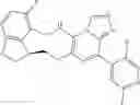Fig. 298 - Macrocyclic azolopyridine derivatives as EED and PRC2 modulators