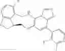 Fig. 304 - Macrocyclic azolopyridine derivatives as EED and PRC2 modulators