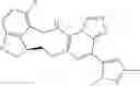 Fig. 309 - Macrocyclic azolopyridine derivatives as EED and PRC2 modulators