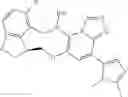 Fig. 331 - Macrocyclic azolopyridine derivatives as EED and PRC2 modulators