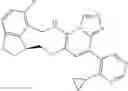 Fig. 353 - Macrocyclic azolopyridine derivatives as EED and PRC2 modulators