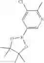 Fig. 375 - Macrocyclic azolopyridine derivatives as EED and PRC2 modulators