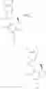 Fig. 38 - Macrocyclic azolopyridine derivatives as EED and PRC2 modulators
