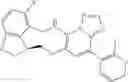 Fig. 462 - Macrocyclic azolopyridine derivatives as EED and PRC2 modulators