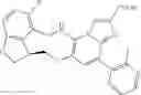 Fig. 487 - Macrocyclic azolopyridine derivatives as EED and PRC2 modulators