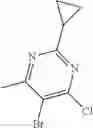 Fig. 506 - Macrocyclic azolopyridine derivatives as EED and PRC2 modulators