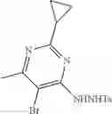 Fig. 507 - Macrocyclic azolopyridine derivatives as EED and PRC2 modulators