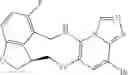 Fig. 55 - Macrocyclic azolopyridine derivatives as EED and PRC2 modulators
