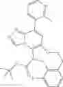 Fig. 95 - Macrocyclic azolopyridine derivatives as EED and PRC2 modulators