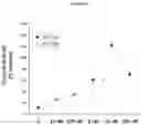 Fig. 05 - Methods for Treatment of Fabry Disease