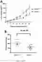 Fig. 02 - USE OF SK2 INHIBITORS IN COMBINATION WITH IMMUNE CHECKPOINT BLOCKADE THERAPY FOR THE TREATMENT OF CANCER