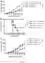 Fig. 05 - USE OF SK2 INHIBITORS IN COMBINATION WITH IMMUNE CHECKPOINT BLOCKADE THERAPY FOR THE TREATMENT OF CANCER