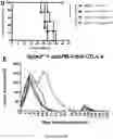 Fig. 06 - USE OF SK2 INHIBITORS IN COMBINATION WITH IMMUNE CHECKPOINT BLOCKADE THERAPY FOR THE TREATMENT OF CANCER
