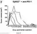 Fig. 07 - USE OF SK2 INHIBITORS IN COMBINATION WITH IMMUNE CHECKPOINT BLOCKADE THERAPY FOR THE TREATMENT OF CANCER