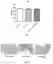 Fig. 05 - USES OF PHOSPHODIESTERASE INHIBITORS