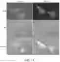 Fig. 12 - MODULATORS OF TDP-43