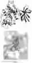 Fig. 05 - KINASE INHIBITORS AND METHODS OF USE THEREOF
