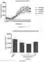 Fig. 12 - KINASE INHIBITORS AND METHODS OF USE THEREOF