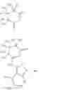 Fig. 52 - KINASE INHIBITORS AND METHODS OF USE THEREOF