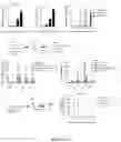 Fig. 06 - TUMOR-SELECTIVE COMBINATION THERAPY