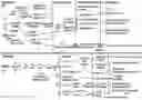 Fig. 01 - COMPOSITIONS FOR OPIATE AND OPIOID PREVENTION AND REVERSAL, AND METHODS OF THEIR USE
